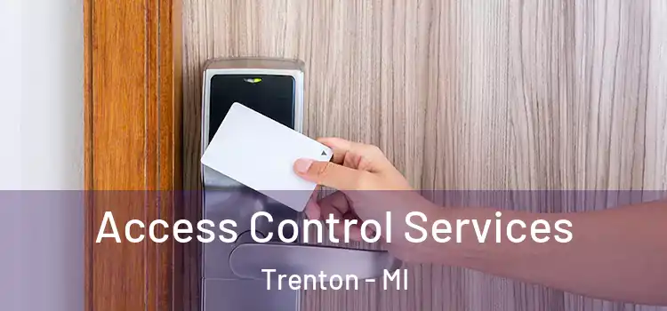 Access Control Services Trenton - MI