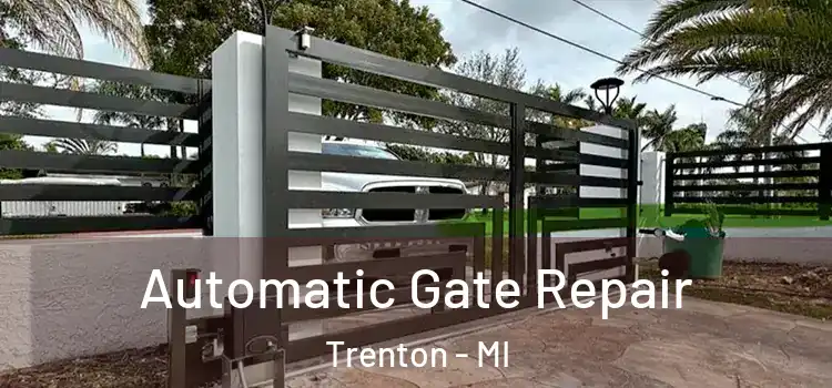 Automatic Gate Repair Trenton - MI