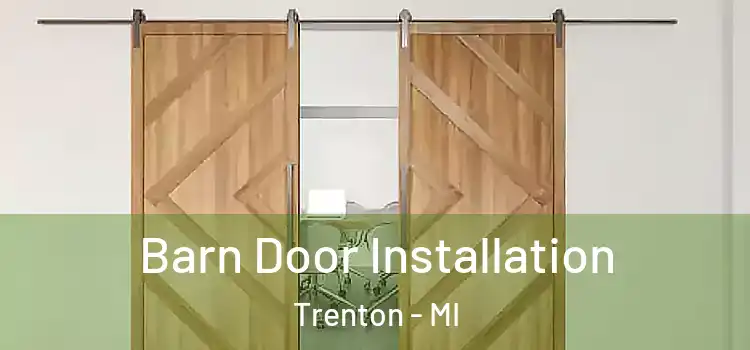 Barn Door Installation Trenton - MI