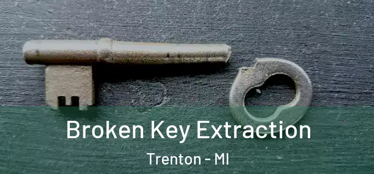 Broken Key Extraction Trenton - MI