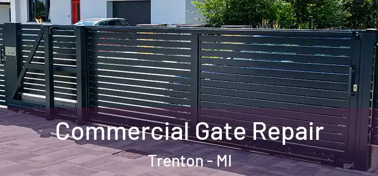 Commercial Gate Repair Trenton - MI