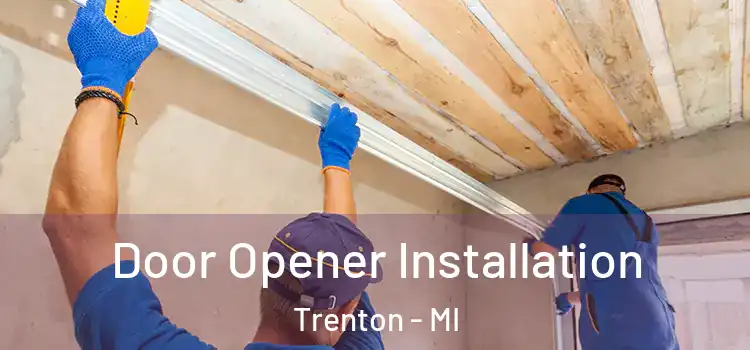 Door Opener Installation Trenton - MI