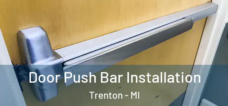 Door Push Bar Installation Trenton - MI