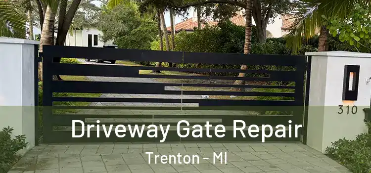 Driveway Gate Repair Trenton - MI