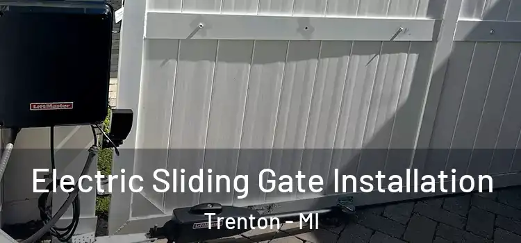 Electric Sliding Gate Installation Trenton - MI