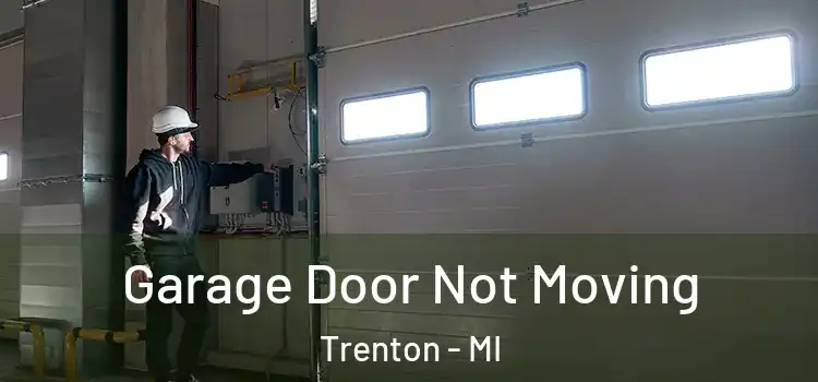  Garage Door Not Moving Trenton - MI