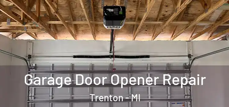  Garage Door Opener Repair Trenton - MI