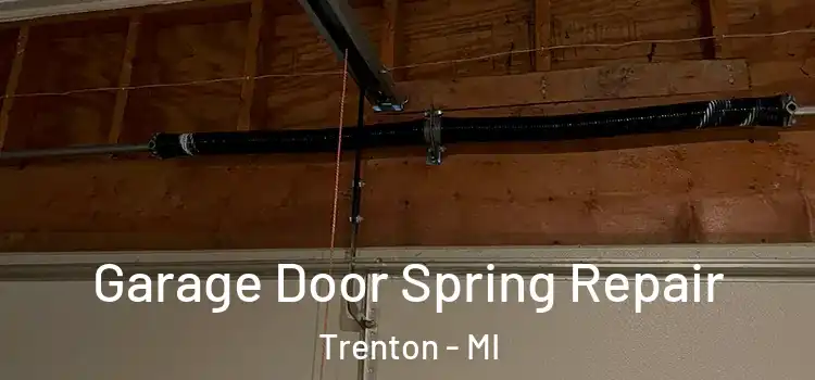  Garage Door Spring Repair Trenton - MI