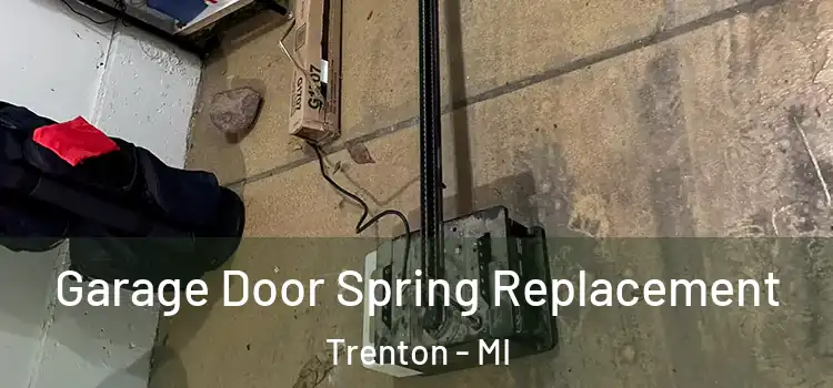  Garage Door Spring Replacement Trenton - MI