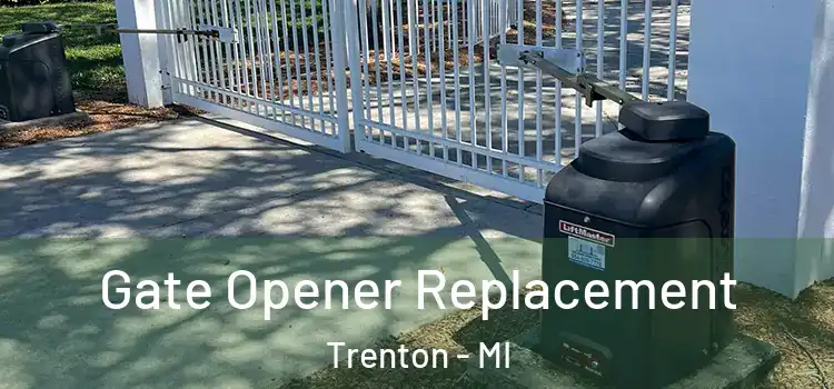 Gate Opener Replacement Trenton - MI