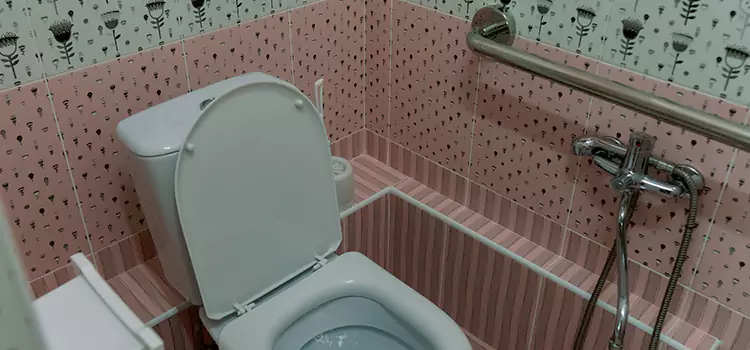 Meeting Diverse Needs With Accessible Restroom Solutions in Trenton, MI