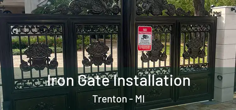 Iron Gate Installation Trenton - MI
