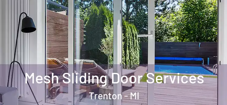 Mesh Sliding Door Services Trenton - MI