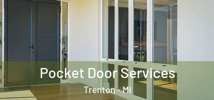 Pocket Door Services Trenton - MI
