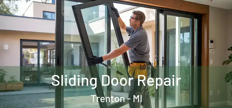 Sliding Door Repair Trenton - MI