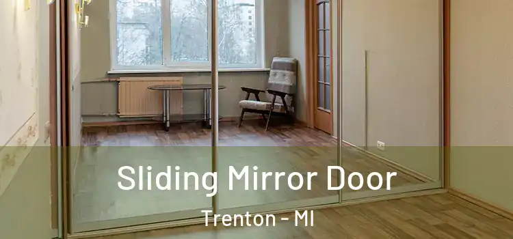  Sliding Mirror Door Trenton - MI
